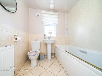 Picture 17